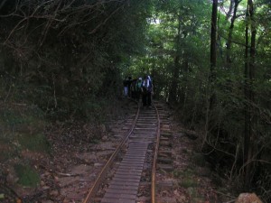 縄文杉　トロッコ道